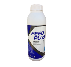 FEED PLUS