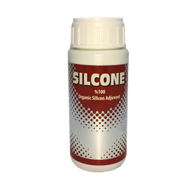 SILCONE