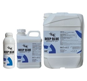 DEEP BLUE
