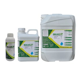 MAXI UP