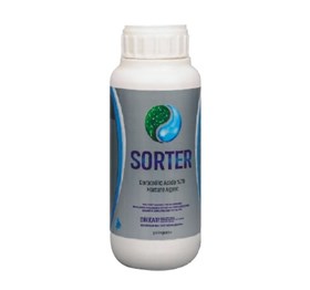 Sorter