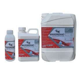 MAXI ORGANO