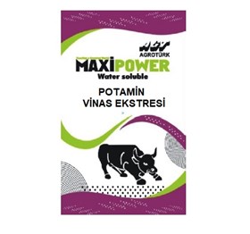 MAXİ POWERPOTAMİN