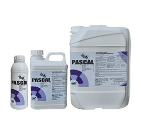 PAS CAL