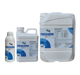POSEIDON