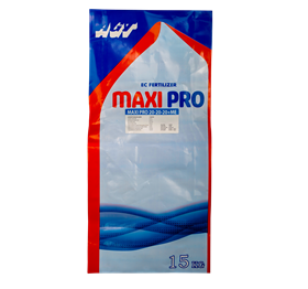 MAXI PRO 20-20-20