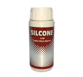 SILCONE